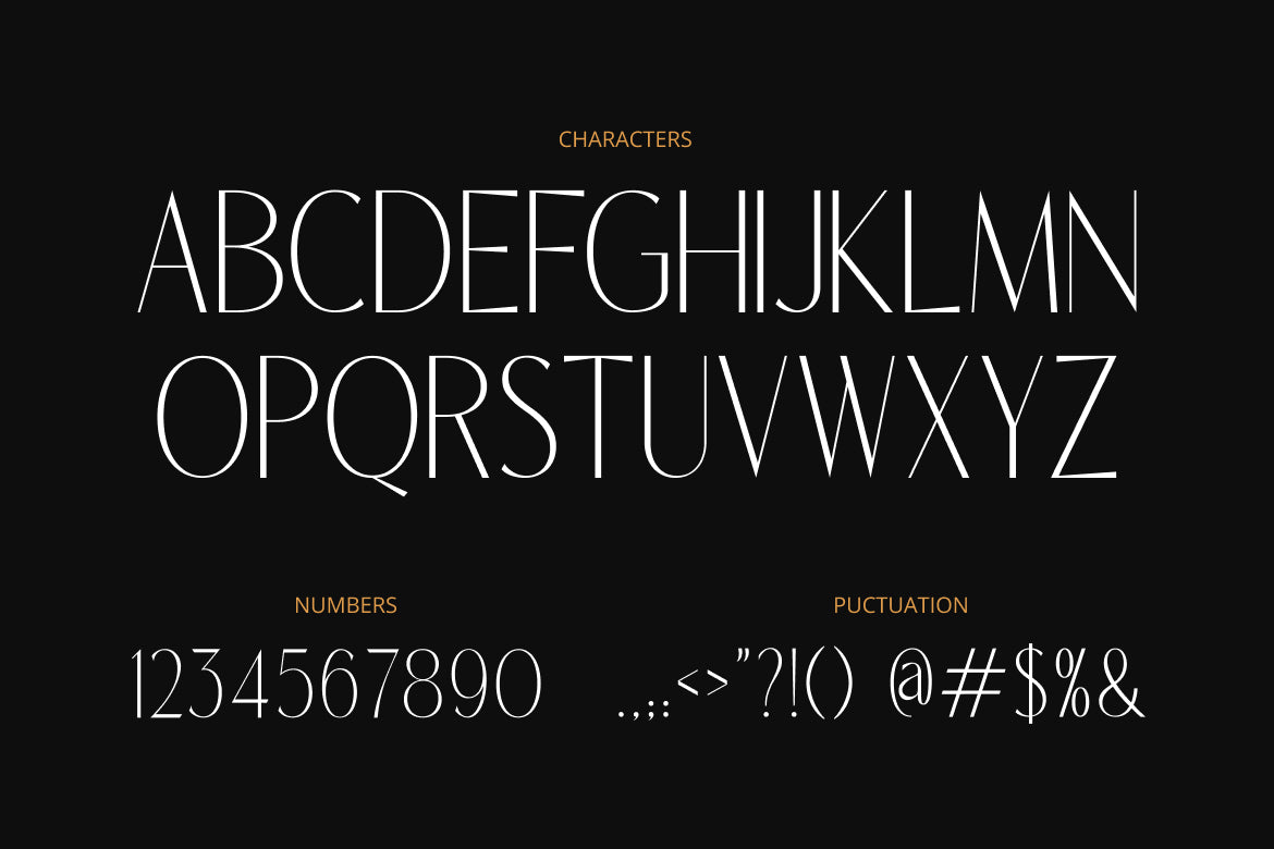 myrelone-modern-fashion-branding-font-rasio-std-2.jpg