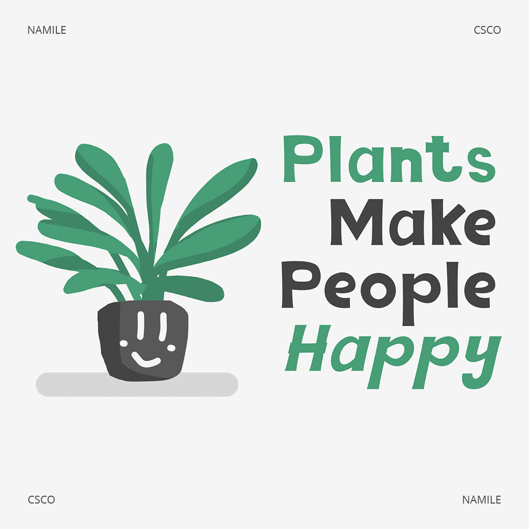 namile-playful-sans-serif-craft-supply-co-2.jpg