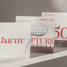 nasterela-modern-elegant-serif-font-rasio-std-9.png