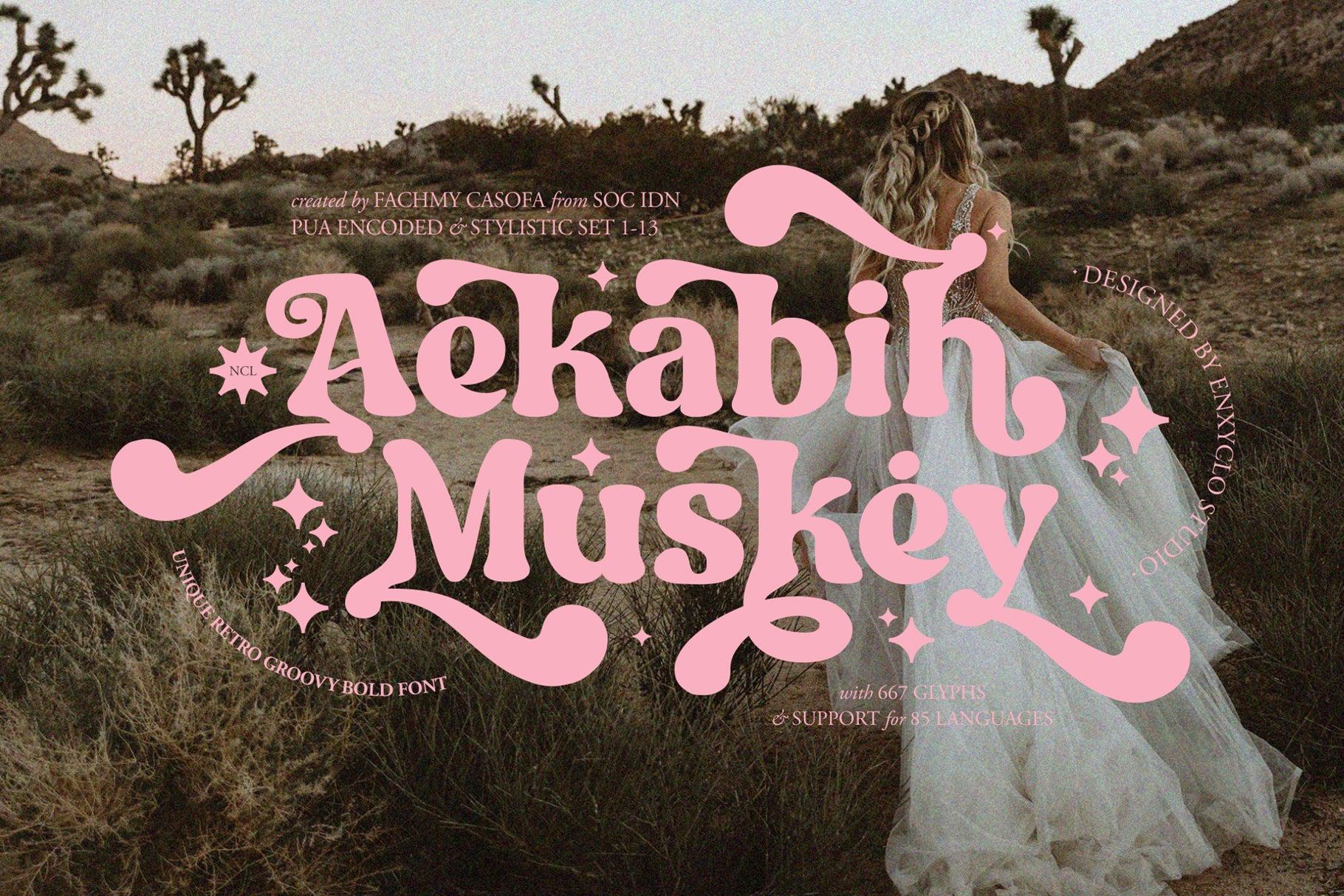 NCL Aekabih Muskey - Retro Groovy Bold Font