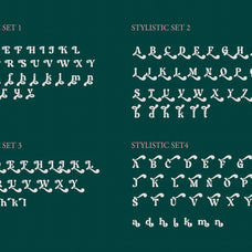 NCL Aekabih Muskey - Retro Groovy Bold Font