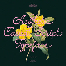 NCL Amhiney - Modern Casual Script
