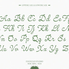 NCL Amhiney - Modern Casual Script