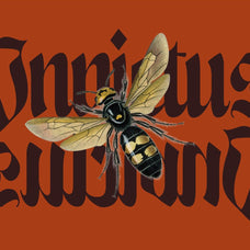 NCL Enigmatic Waesbendiy - Modern Medieval Blackletter Font