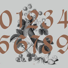 NCL Enigmatic Waesbendiy - Modern Medieval Blackletter Font