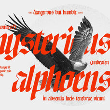 NCL Enigmatic Waesbendiy - Modern Medieval Blackletter Font