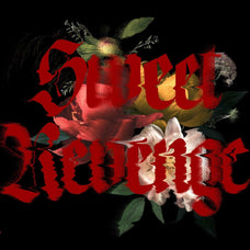NCL Enigmatic Waesbendiy - Modern Medieval Blackletter Font