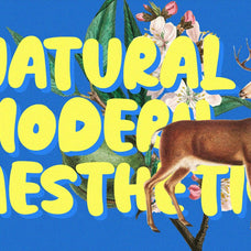 NCL Fatboy Onishuke - Fat Retro Font