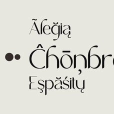 NCL Gasdrifo - Modern Elegant Font