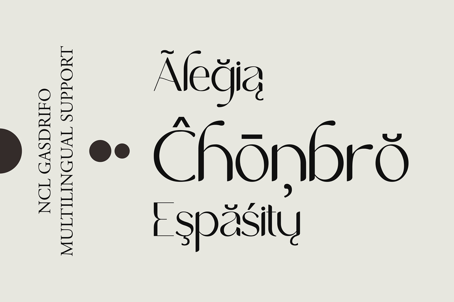 NCL Gasdrifo - Modern Elegant Font