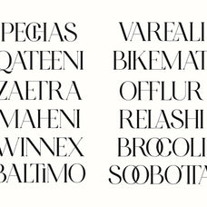 NCL Gastrub - Modern Elegant Ligature Font