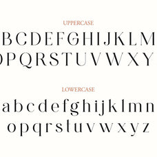 NCL Gastrub - Modern Elegant Ligature Font