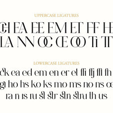 NCL Gastrub - Modern Elegant Ligature Font