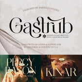 GASTRUB — Aesthetic Serif Ligature Font