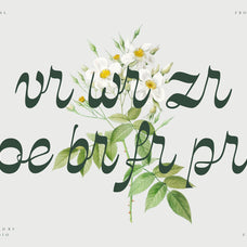 NCL Kisgade - Modern Script Font