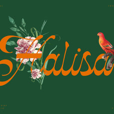 NCL Kisgade - Modern Script Font