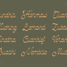 NCL Kisgade - Modern Script Font