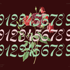 NCL Kisgade - Modern Script Font