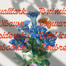 NCL Qanproy Woldriug - Modern Casual Elegant Script