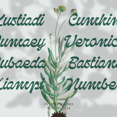 NCL Qanproy Woldriug - Modern Casual Elegant Script