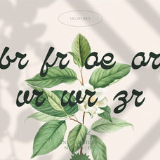NCL Qanproy Woldriug - Modern Casual Elegant Script