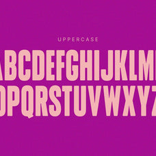 NCL Qikober - Bold Rounded Condensed Font