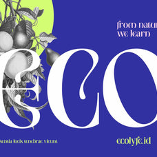 NCL Saigefy Cebahixa - Modern Serif Font