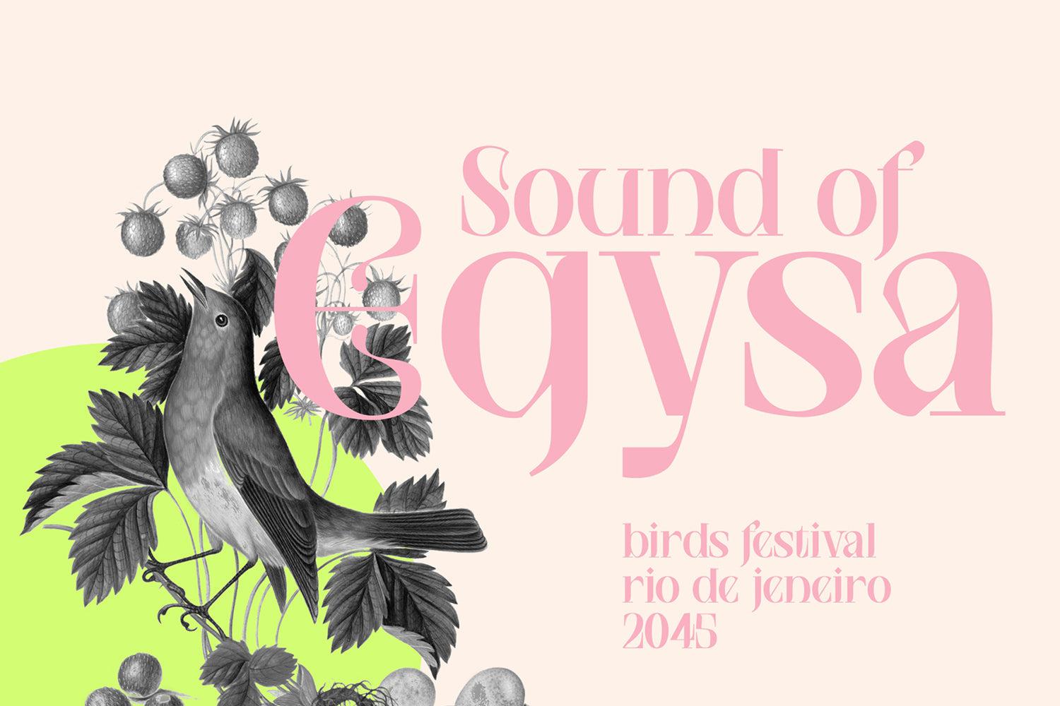 NCL Saigefy Cebahixa - Modern Serif Font