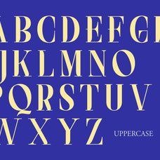 NCL Saigefy Cebahixa - Modern Serif Font