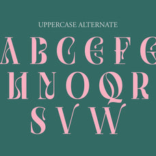 NCL Saigefy Cebahixa - Modern Serif Font