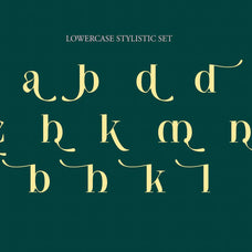 NCL Saigefy Cebahixa - Modern Serif Font