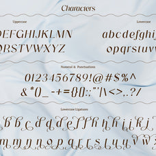 nefago-luxury-serif-font-brandearth-studio-2.jpg