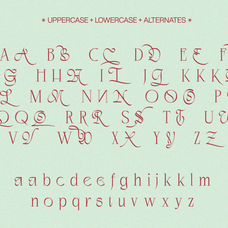 negkomis-elegant-serif-font-unknown-creator-40.png