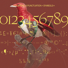 negkomis-elegant-serif-font-unknown-creator-41.png