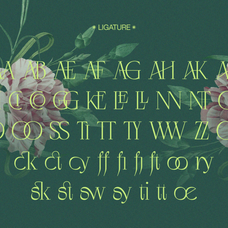 negkomis-elegant-serif-font-unknown-creator-43.png