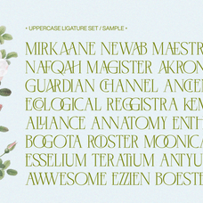 negkomis-elegant-serif-font-unknown-creator-44.png