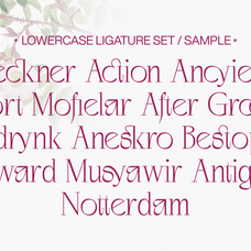 negkomis-elegant-serif-font-unknown-creator-45.png