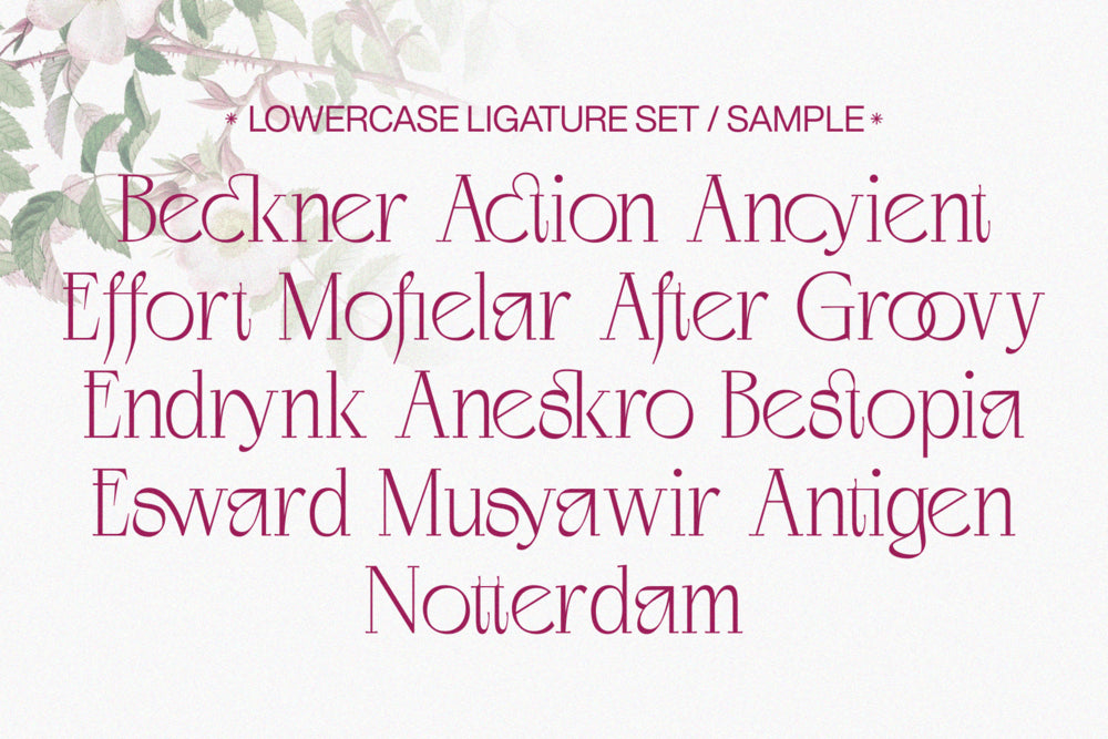 negkomis-elegant-serif-font-unknown-creator-45.png