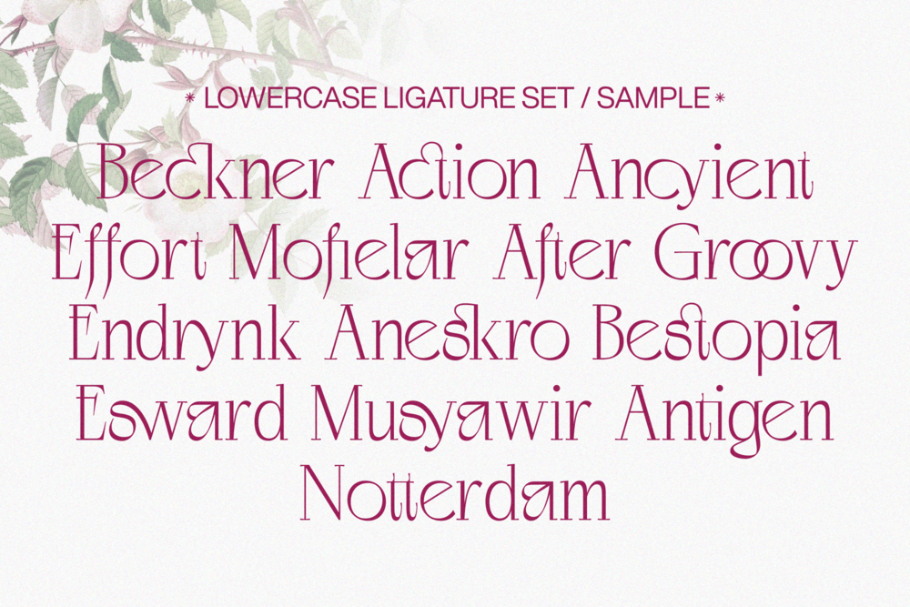 negkomis-elegant-serif-font-unknown-creator-45.png