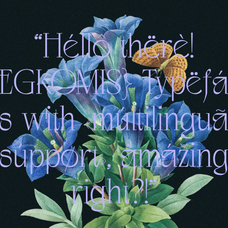 negkomis-elegant-serif-font-unknown-creator-46.png