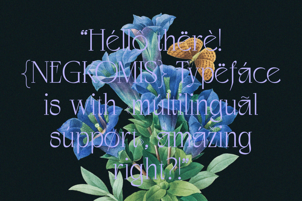 negkomis-elegant-serif-font-unknown-creator-46.png