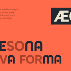 neroa-modern-sans-serif-font-brandearth-studio-5.jpg