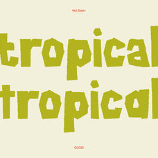 net-blaarr-stylistic-retro-display-typeface-casloop-studio-3.jpg