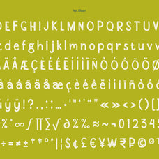 net-blaarr-stylistic-retro-display-typeface-casloop-studio-7.jpg