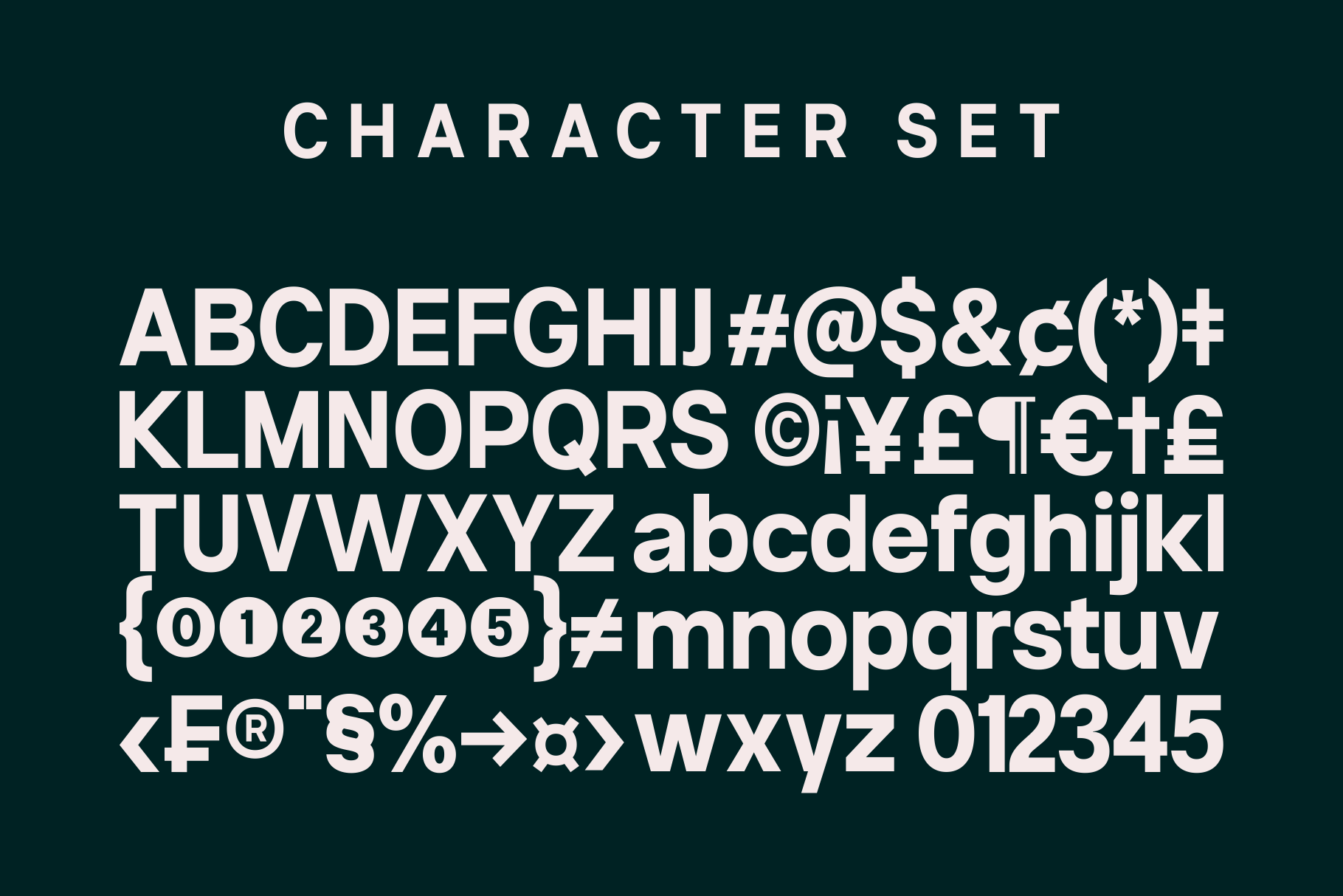 neue-celso-marvadesign-9.png