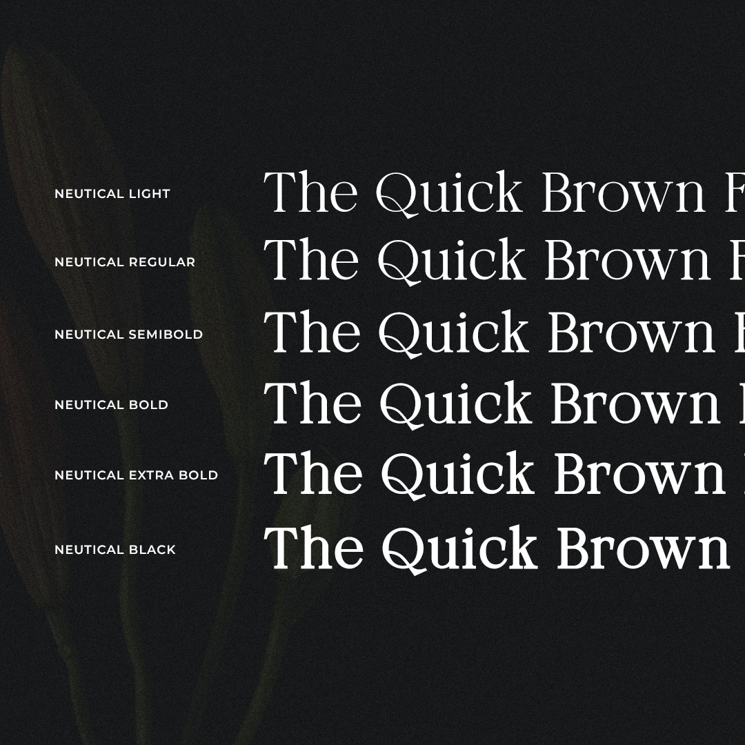 neutical-modern-serif-font-family-6-weights-heinzel-std-3.jpg