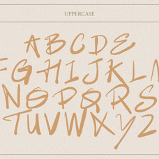 new-siqon-expressive-handdrawn-brush-enxyclo-studio-11.png