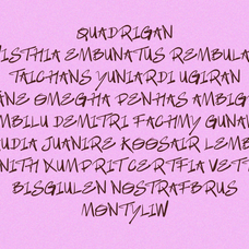 new-siqon-expressive-handdrawn-brush-enxyclo-studio-8.png