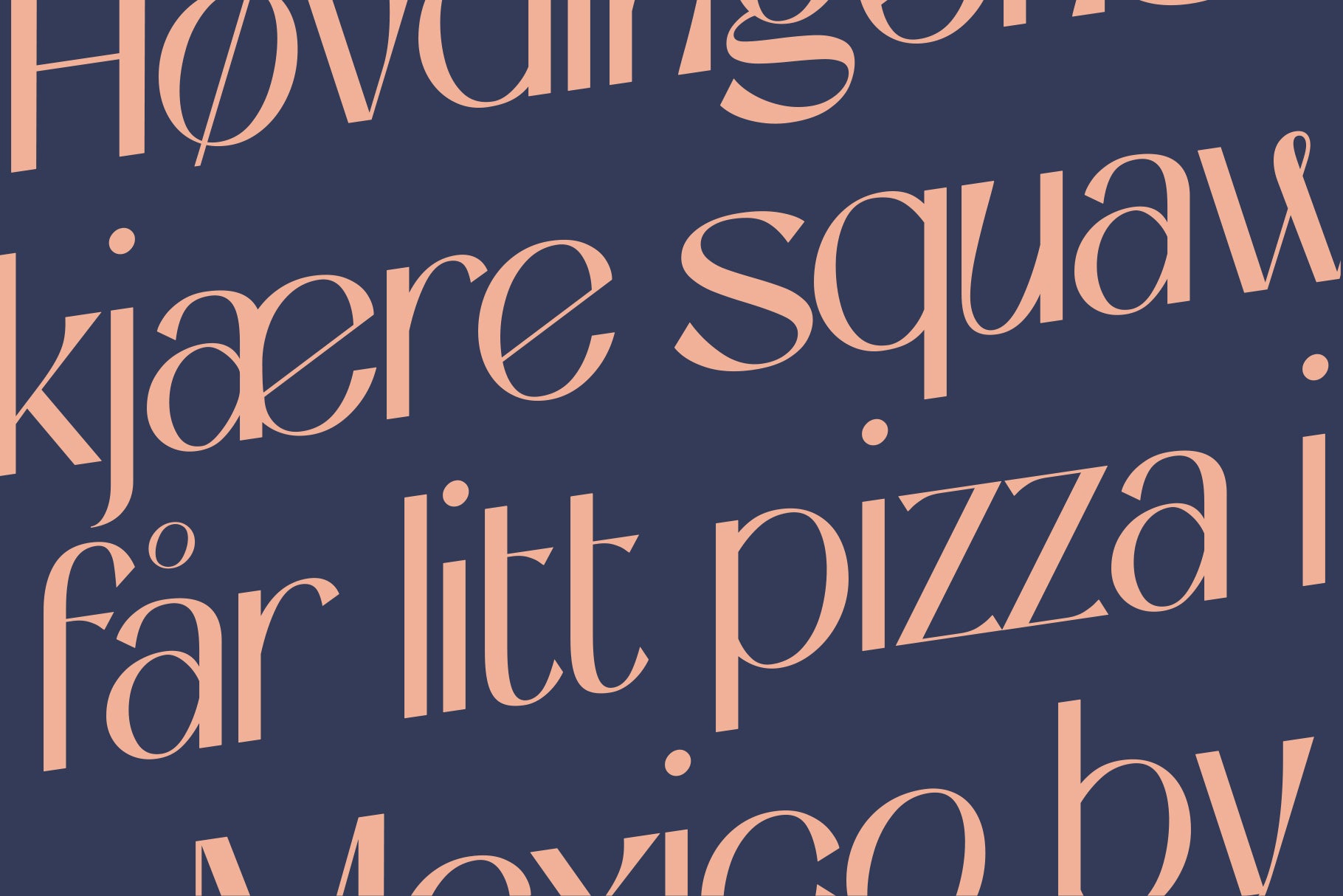 niasec-lux-elegant-display-font-casloop-studio-4.jpg