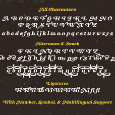 nicky-retro-italic-serif-sarid-ezra-9.jpg